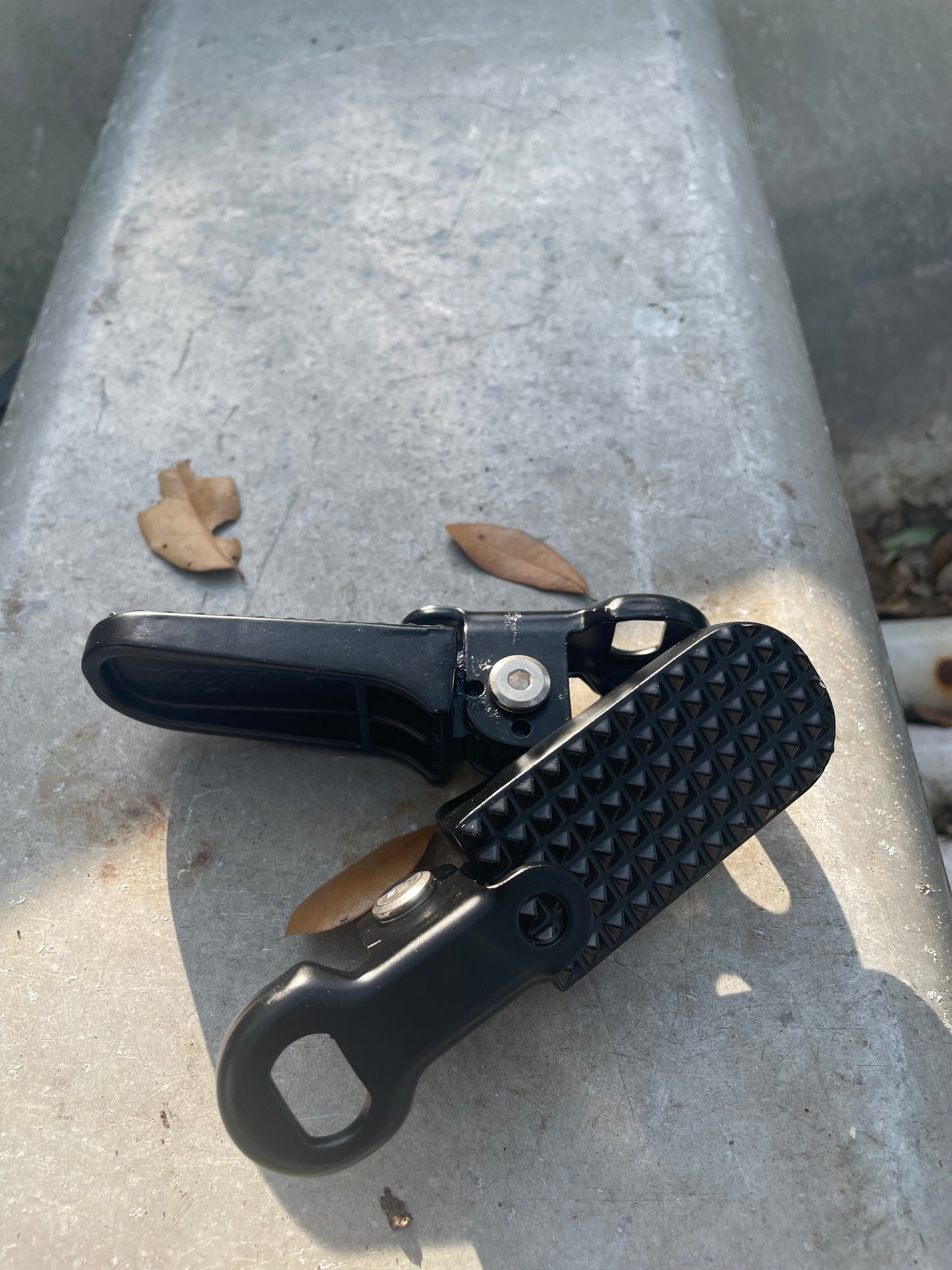 Passenger pegs
