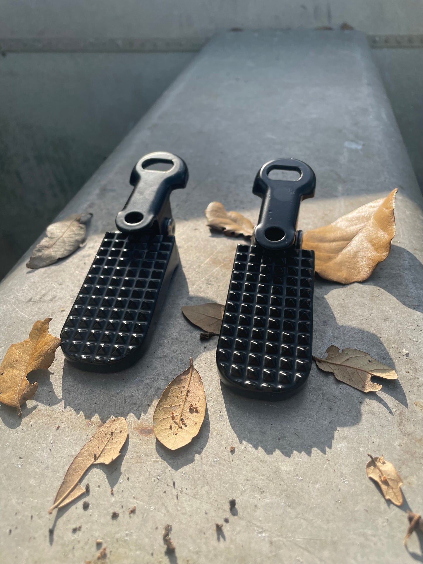 Passenger pegs